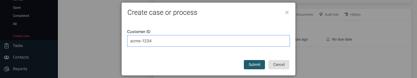 create-case-instance