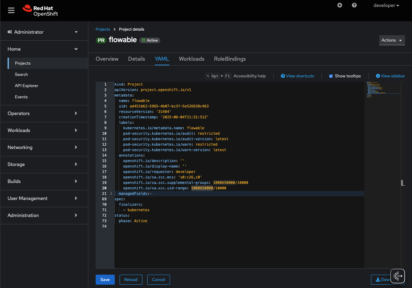 Openshift Console Project UID